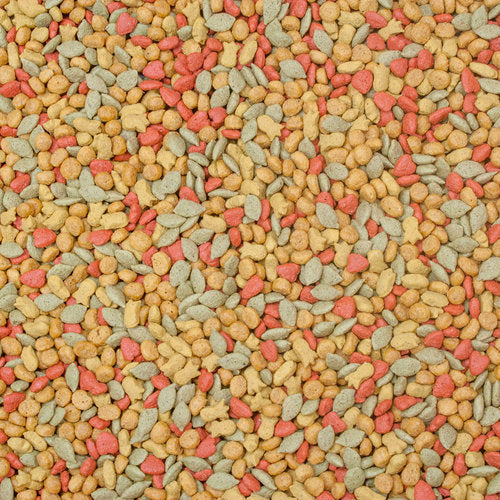 InTune Natural - Conure/Cockatiel Food image 1