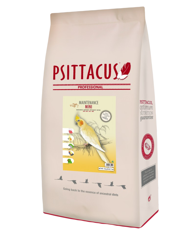 Psittacus Mini Maintenance image 1