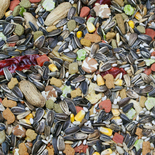 Higgins Vita Seed - Parrot Food image 3