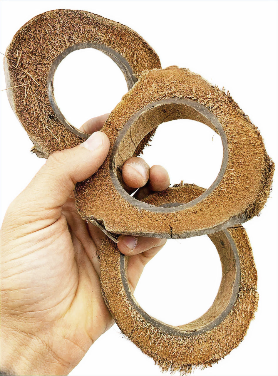 Coconut Slices (3pk) image 1