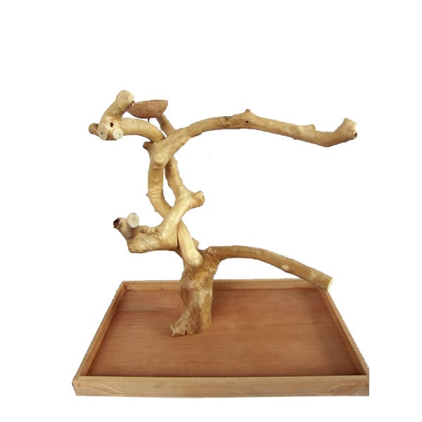Java Wood Table Top Play Stand - Large – Florida Parrot