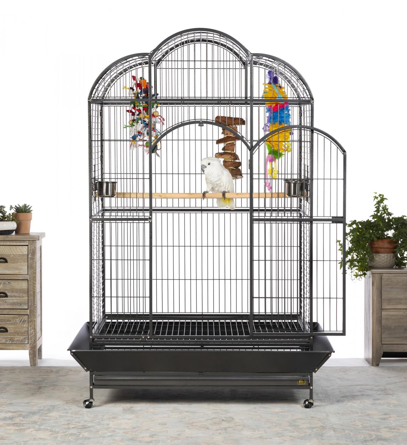 Large bird cage with a parrot inside on a white background