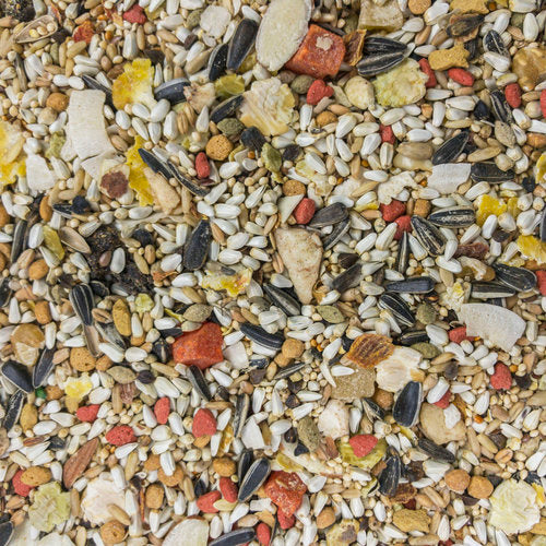 Higgins Sunburst - Conure Food image 2