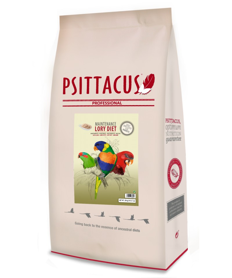 Psittacus Lory Diet Maintenance image 1