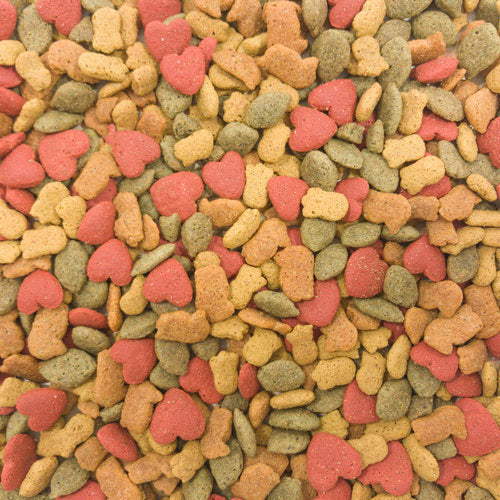Parrot Diet