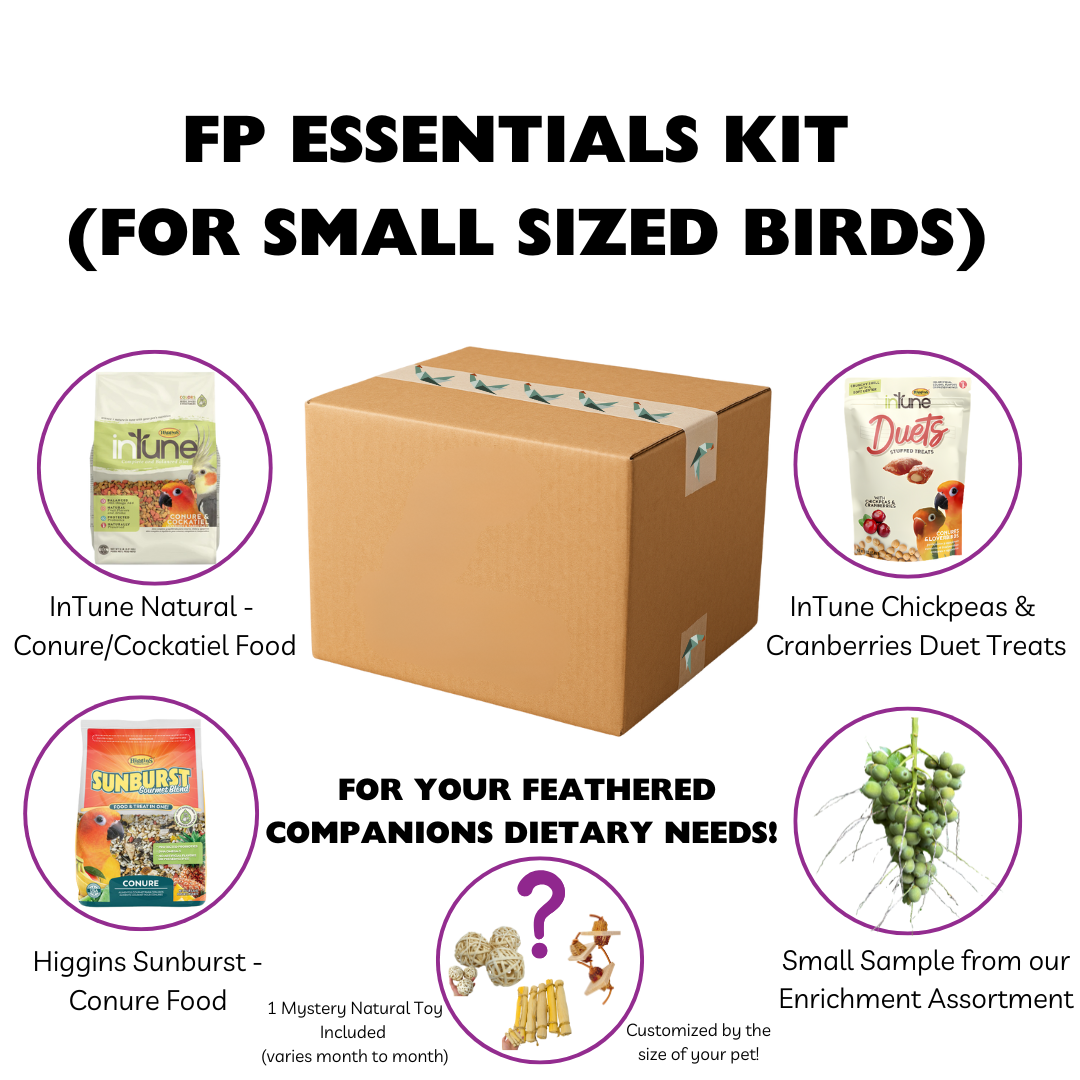 FP Essentials Kit Small image 0