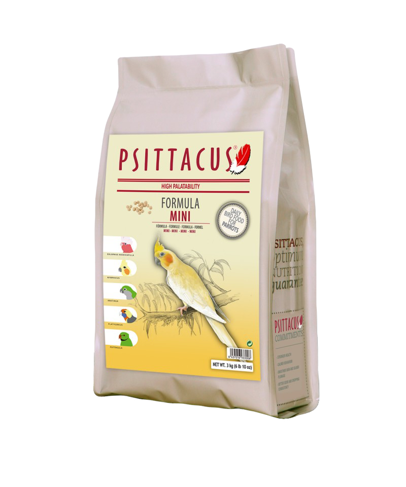 Psittacus Mini Maintenance image 0