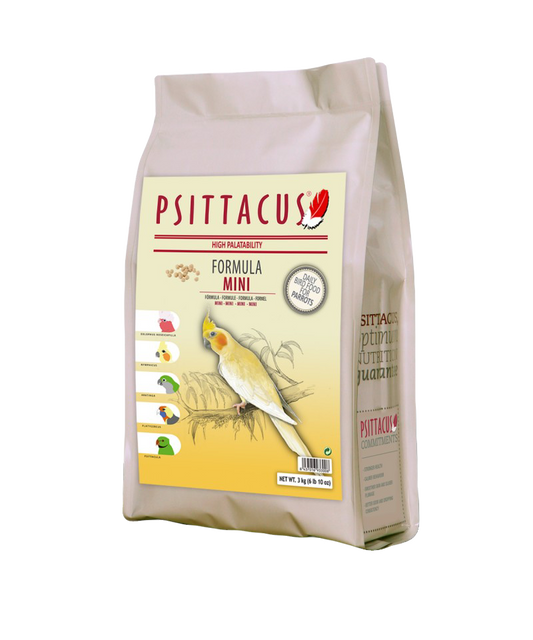Psittacus Mini Maintenance image 0