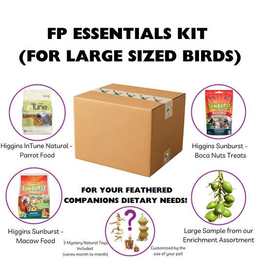 FP Essentials Kit Large image 0