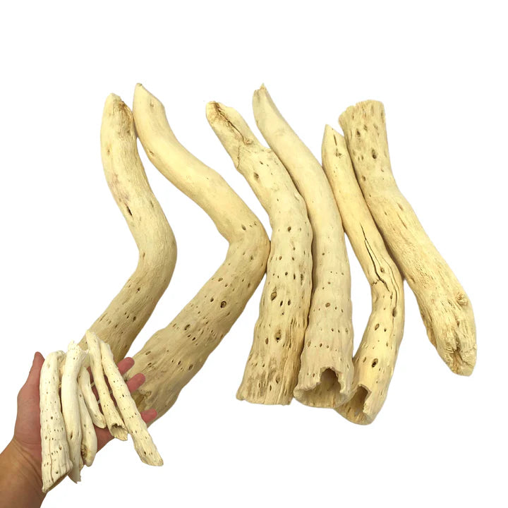 Natural Gobi Tail image 1