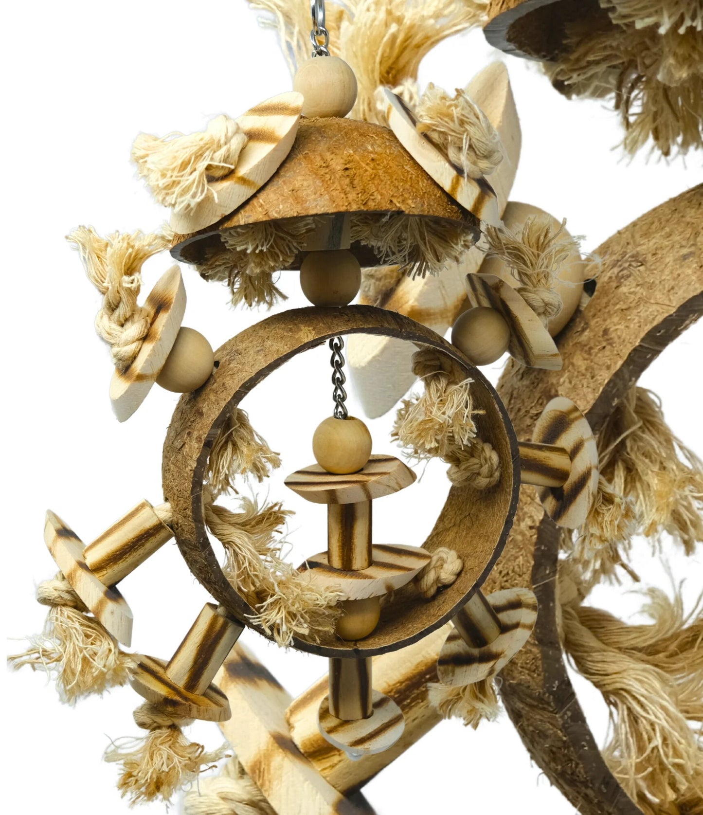 Coco Wheel Toy image 2