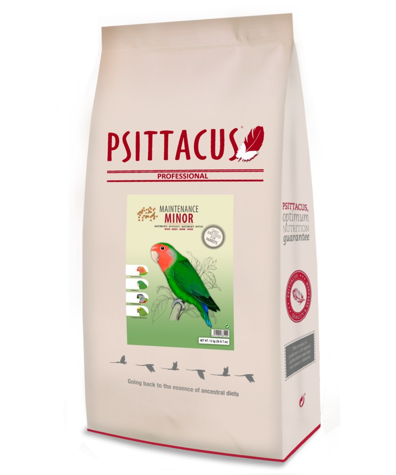 Psittacus Minor Maintenance image 2