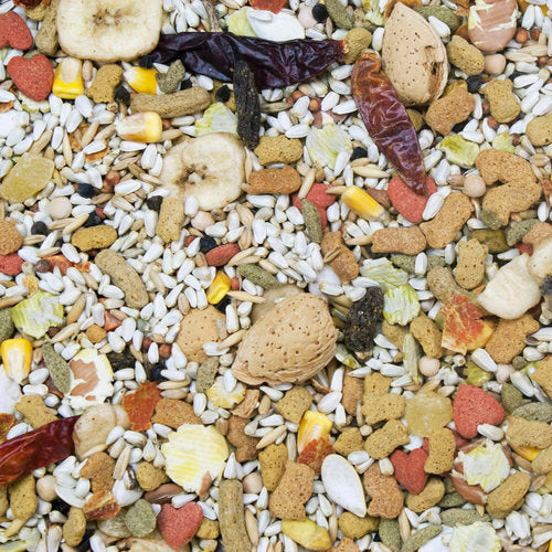 Vita Seed - California Blend Parrot Food image 1