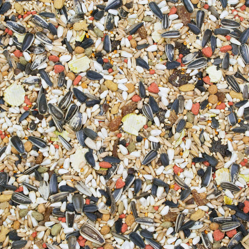 Higgins Vita Seed - Cockatiel Food image 3