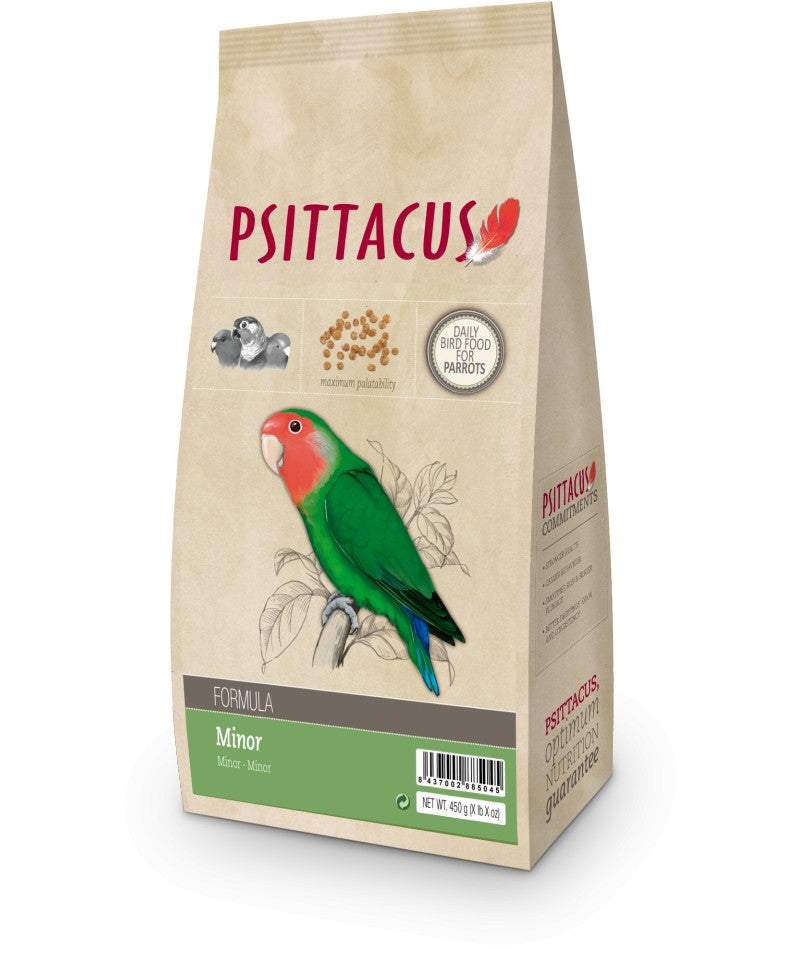 Psittacus Minor Maintenance image 0