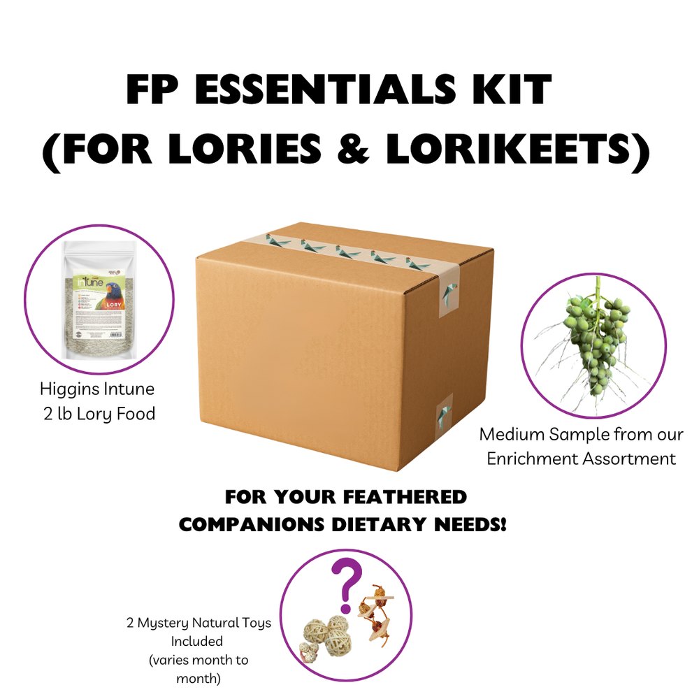FP Parrot Pack Lory – Florida Parrot