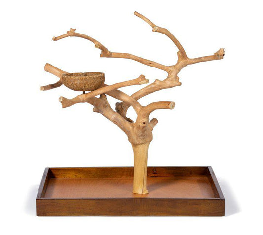 Coffeawood Tree Mini Table Top Medium