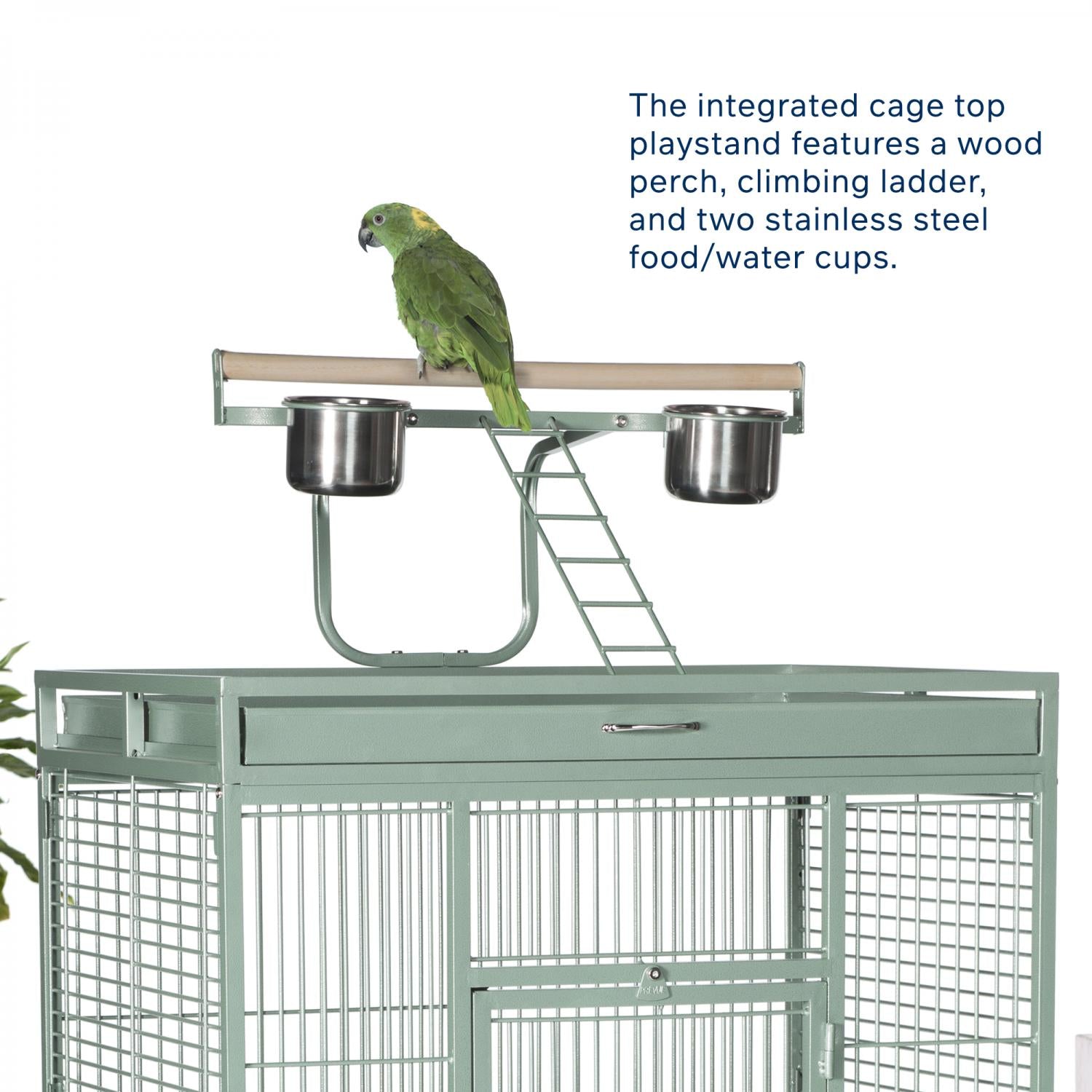 A green parrot perched on an integrated top playstand of a large metal cage, with a wooden perch, climbing ladder, and two stainless steel food and water cups. Blue text on the right describes the features.
