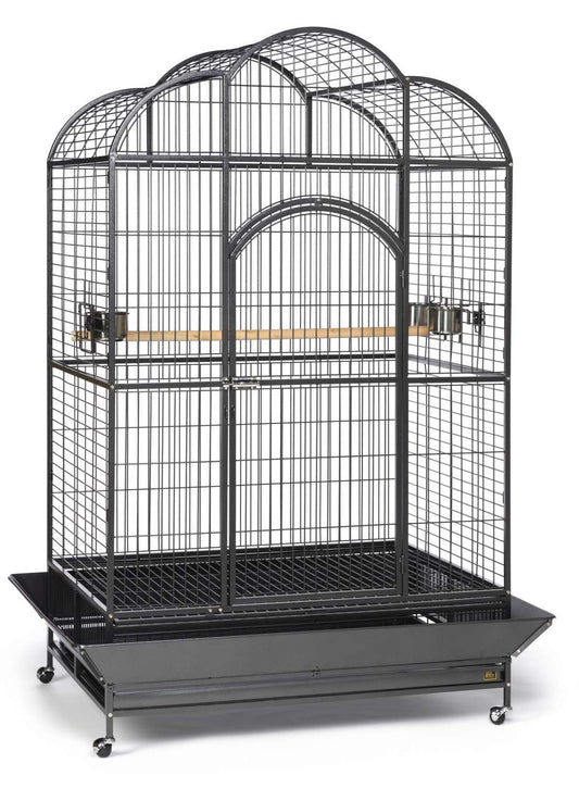 Large bird cage with a black metal frame on a white background