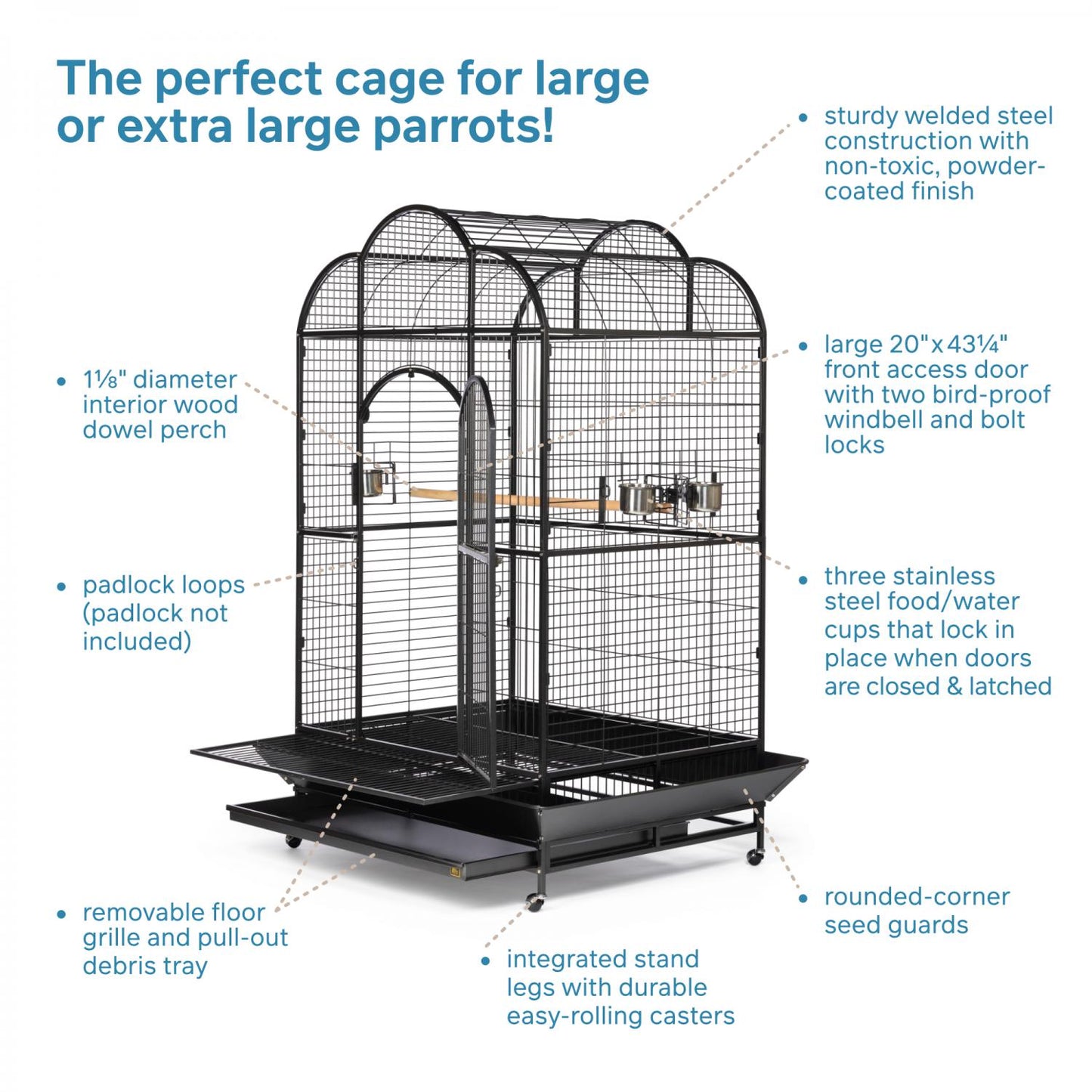 Bird cage with features highlighted on a white background
