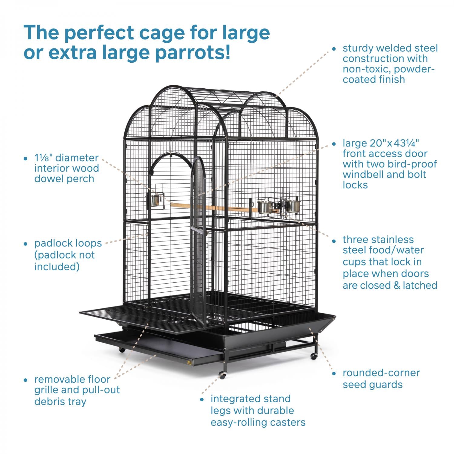 Bird cage with features highlighted on a white background