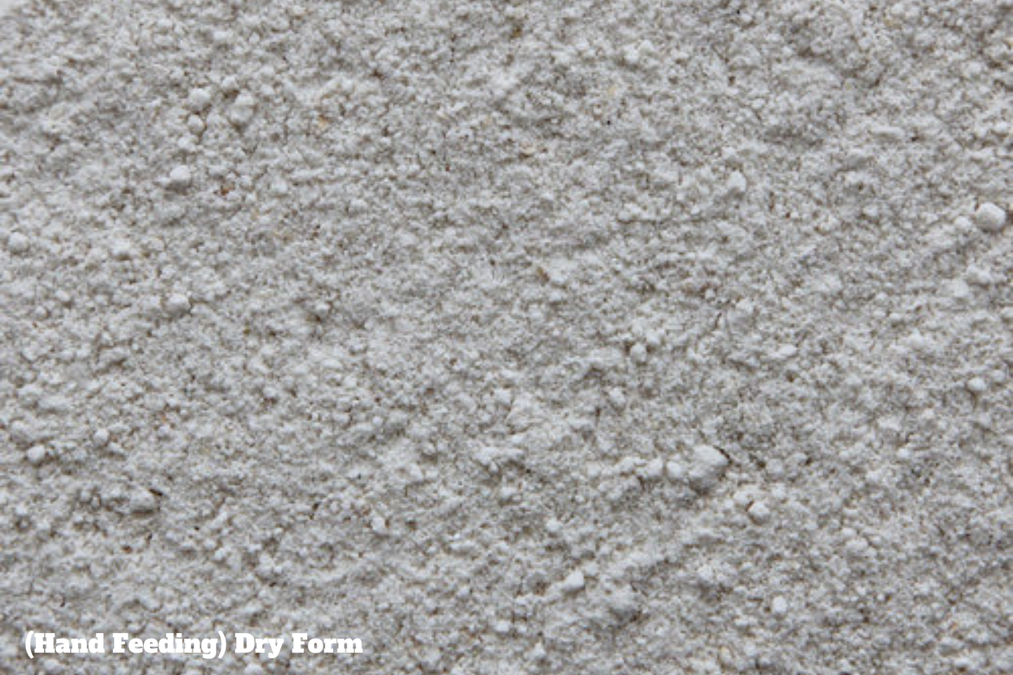 Intune Hand Feeding - Hi-Energy Formula image 1