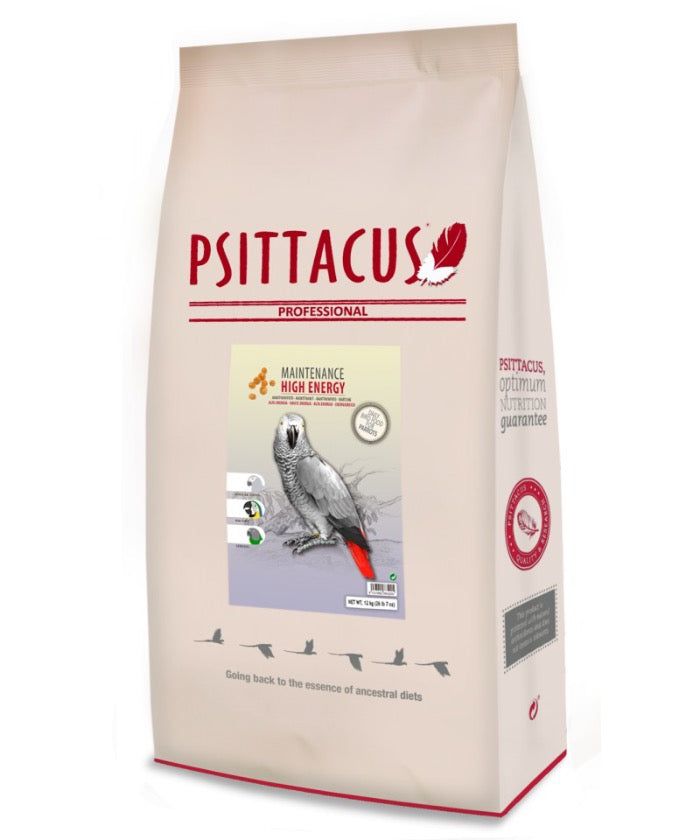 Psittacus High Energy Maintenance image 2