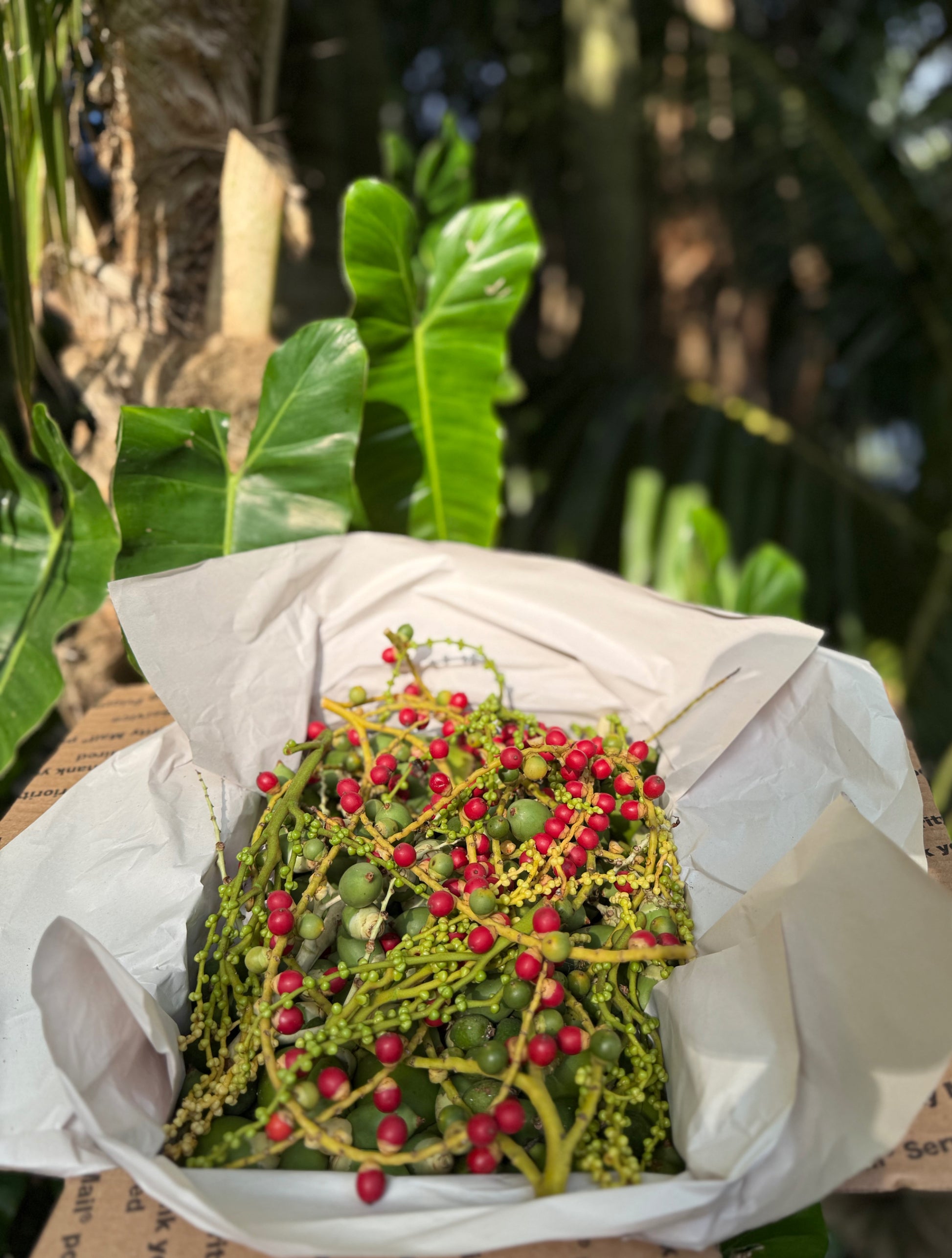 Tropical Enrichment image 0