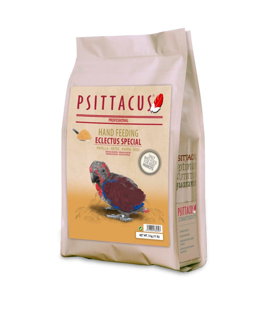 Psittacus Eclectus Special Hand Feeding image 0