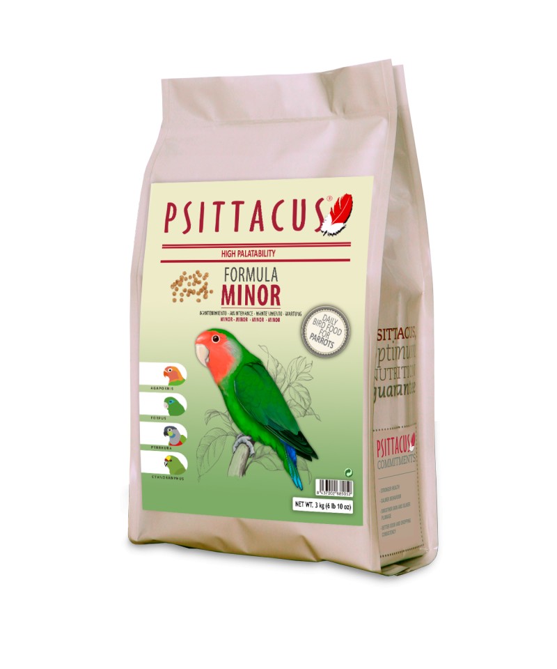 Psittacus Minor Maintenance image 1