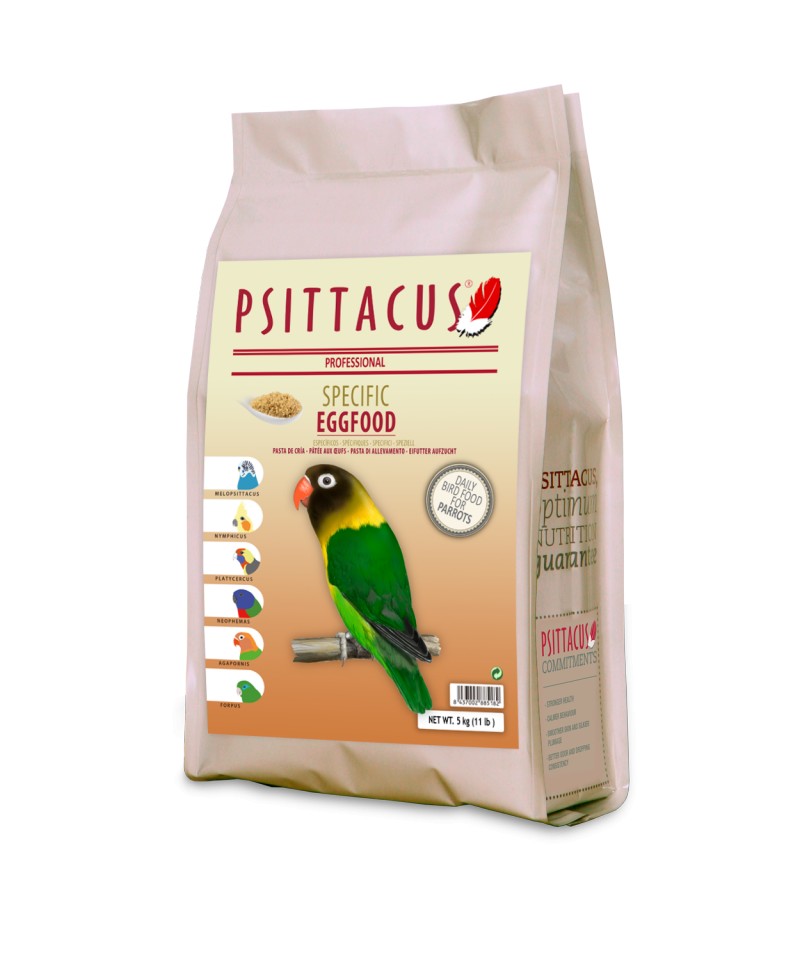 Psittacus Eggfood breeding image 1