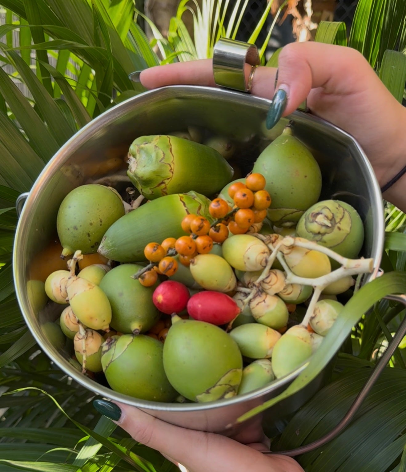 Tropical Enrichment Sample Bucket image 0