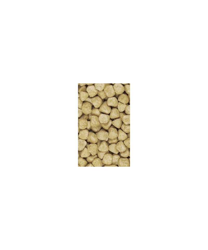 Psittacus High Protein Breeding image 1