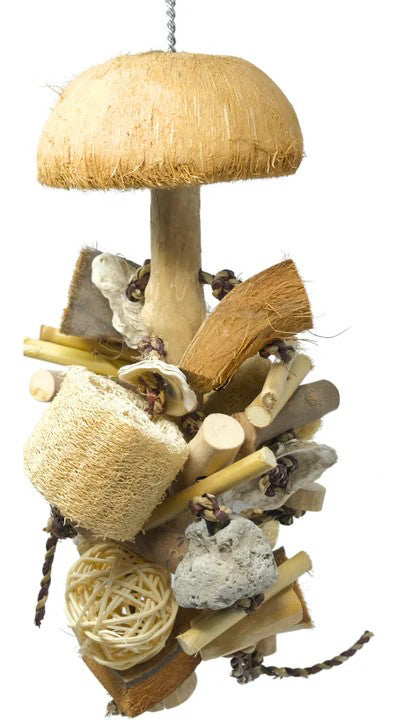 FP Natural Bundle Kit Small image 9